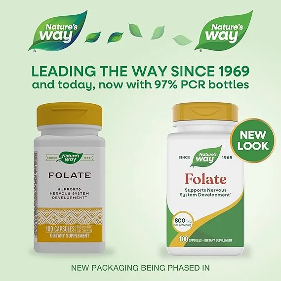 folate2.webp