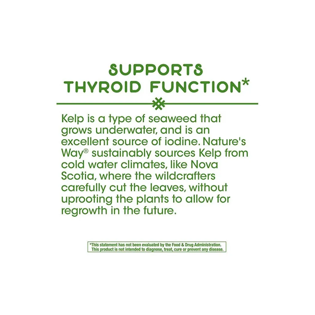 kelp1.webp