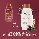 aveeno blue berry.webp