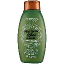AVEENO-Fresh-Greens-Blend-Shampoo-Refresh-Thicken-12-oz-Pack-of-4_8bd86db8-0e70-406f-9a56-3b3e204ffef3.3c22d282901bd8e9dc7403af3f6c3217.webp