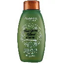 AVEENO FRESH GREENS BLEND SHAMPOO