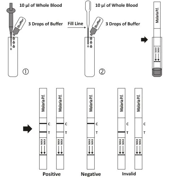 Malaria_P_f__Rapid_Test_Dipstick.webp