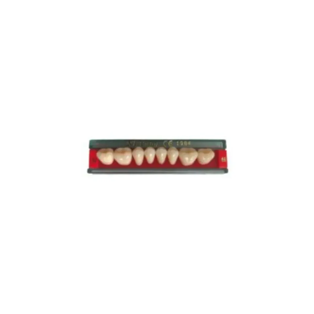 [0899] Dents acryliques antérieures inférieures