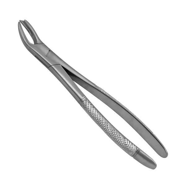 Upper Molar forceps