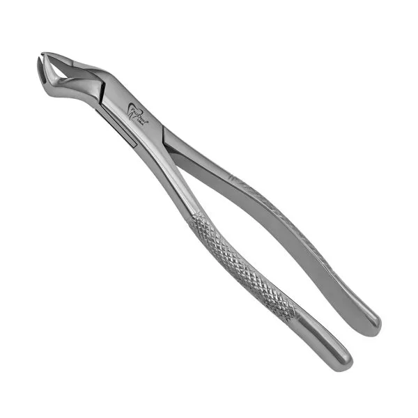 Upper right  Molar forceps