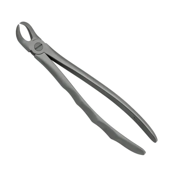 Upper Right Cowhorn Forceps – Dental Extraction Instrument 