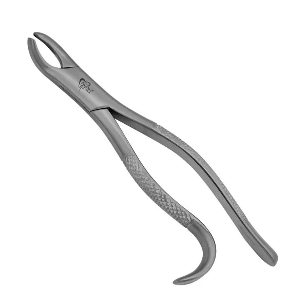 Upper universal molar