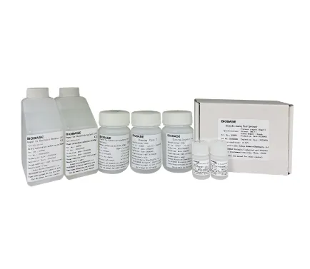 Electrolyte Reagents Pack Na/K/Cl (400ml) – High-Precision ISE Reagent for Electrolyte Analyzers