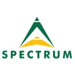 [3720] Spectrum GGT (Gamma-Glutamyl Transferase) Reagente