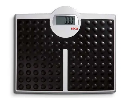 Seca 813 Digital scale (200kgs)