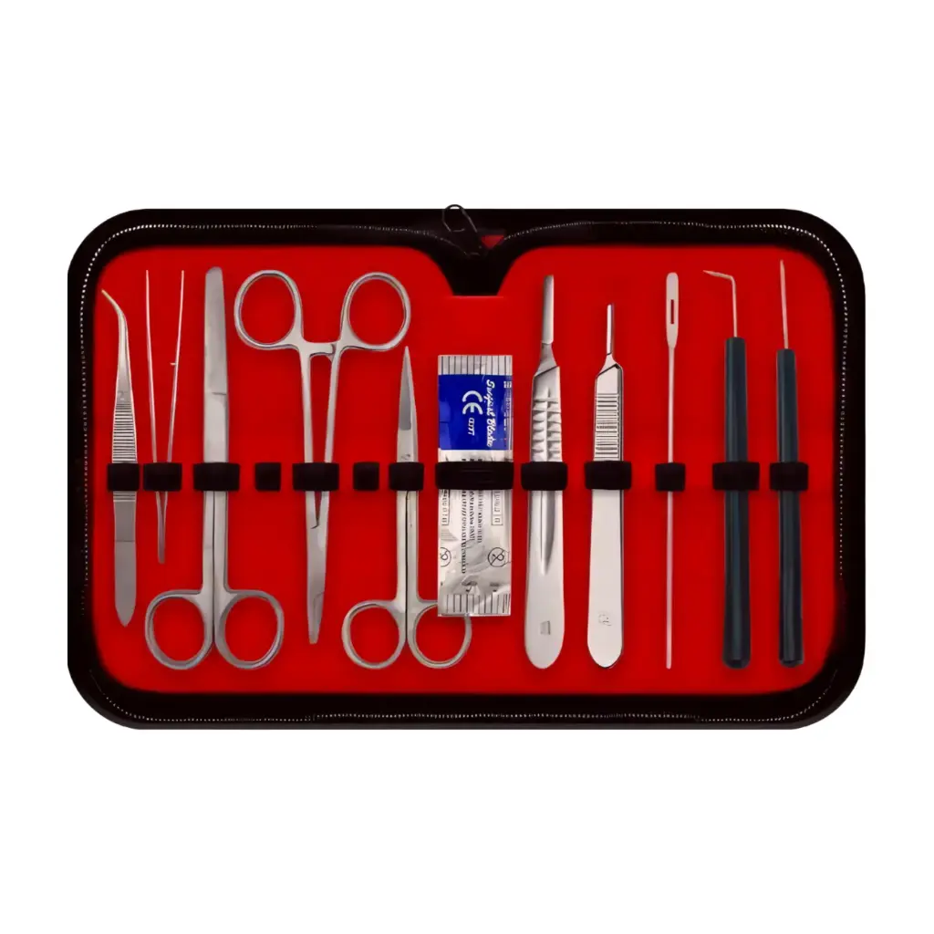 [1084] Dissecting Set