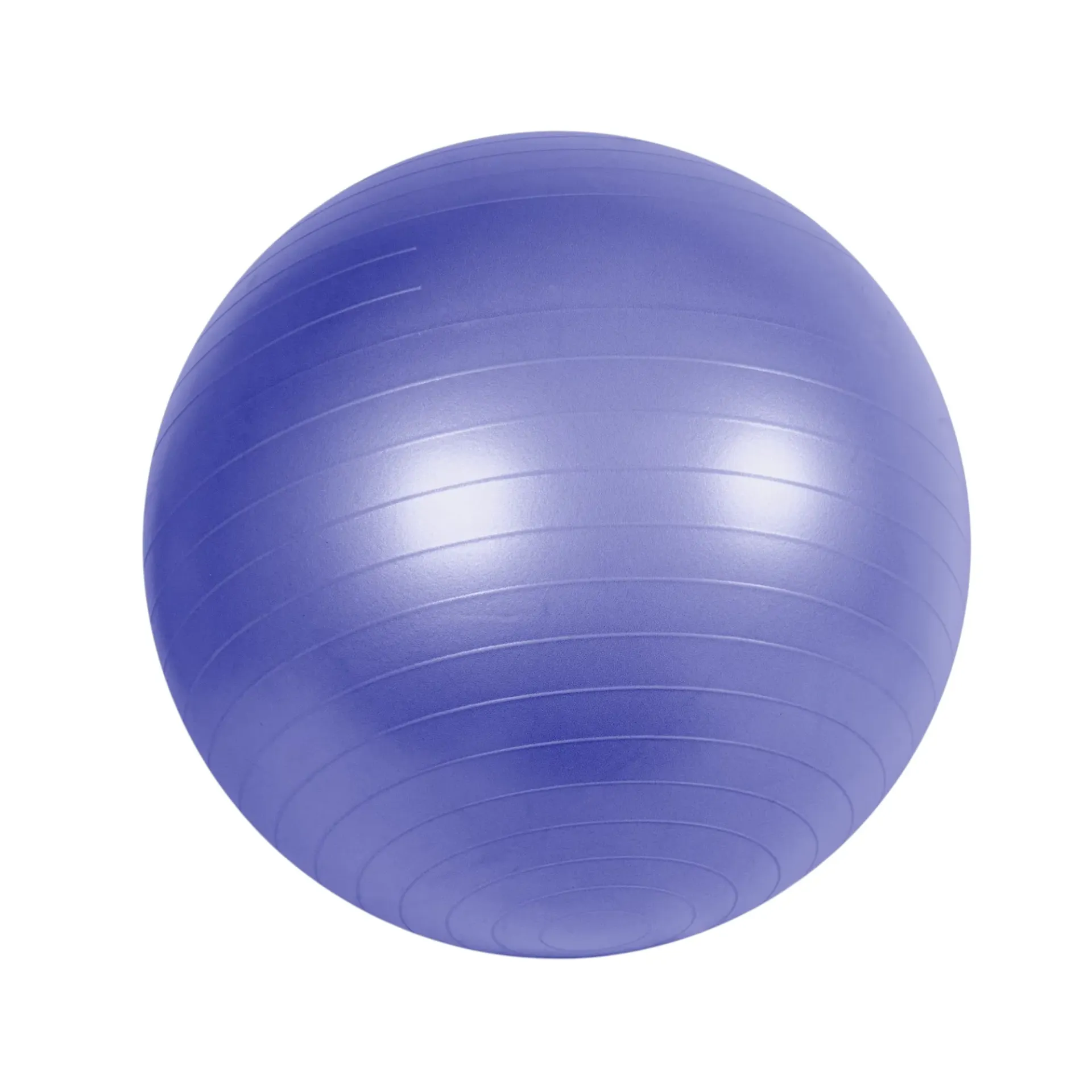 Swiss Ball – Exercise & Physiotherapy Stability Ball
