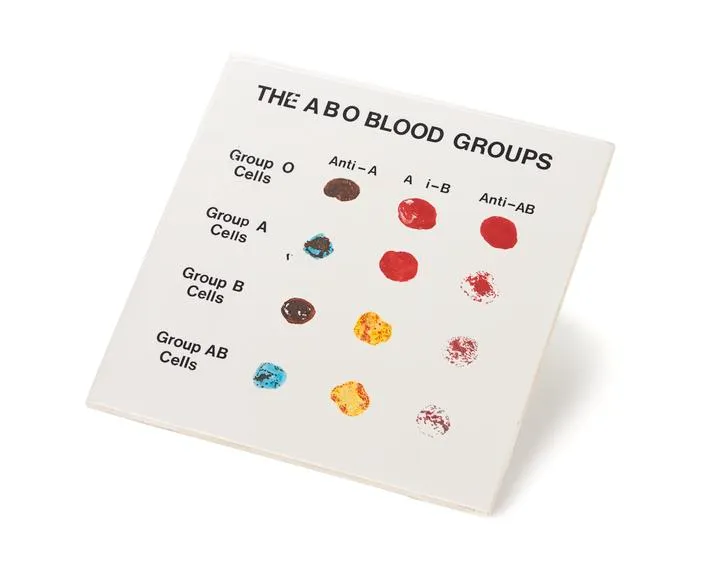 Blood Grouping Tile – Essential Laboratory Tool for ABO & Rh Testing