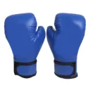 Boxing Gloves For Junior Blue With Invincible Print