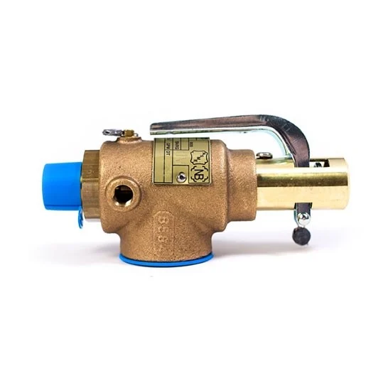  Release Valve for 100-Litre Autoclave