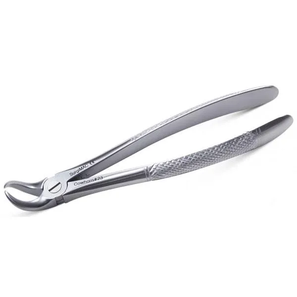Upper Cowhorn Dental Extraction Forceps – Maxillary Molar Tooth Extraction Forceps