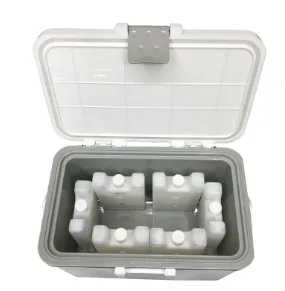 Cooler Box and Ice Packs (Cold Chain Storage Set)