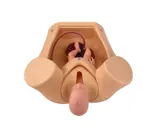 Advaced childbirth comprehensive skill training model