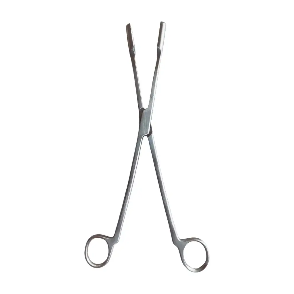 Ovum Forceps