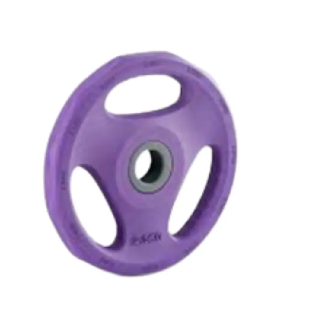 Rubber Plate Weight 2.5kg, Purple