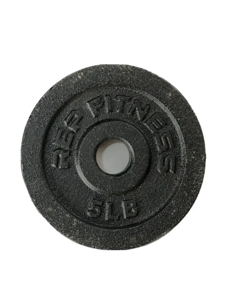 5kg Black Cast Iron Plate Weight