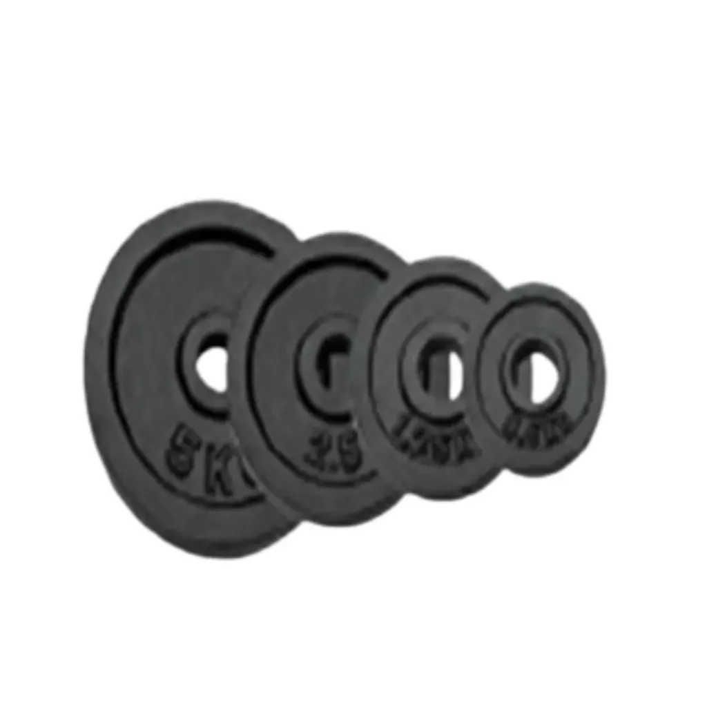 20kg Black Cast Iron Plate Weight