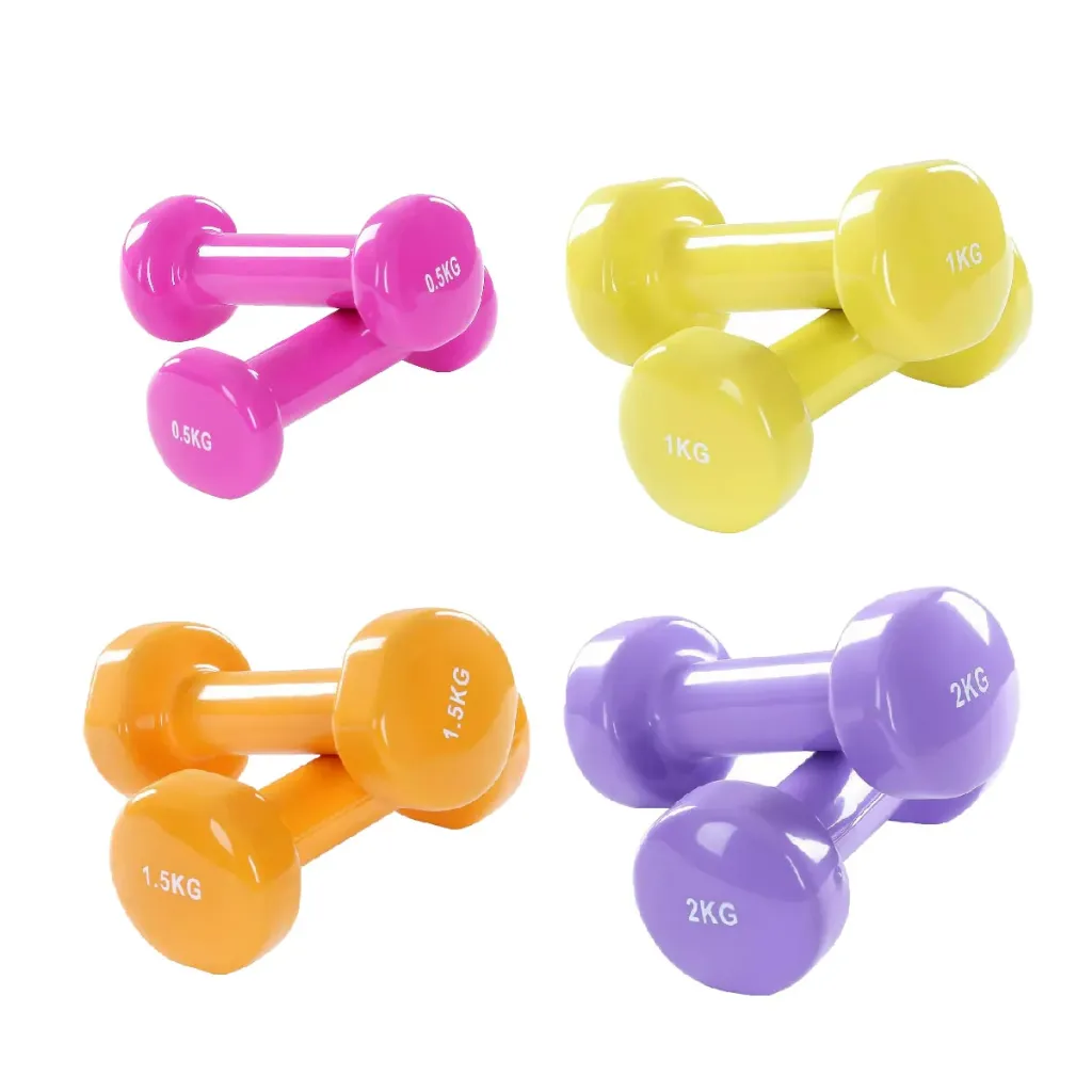 Vinyl Dumbbell Plastic Coated 2*3kg