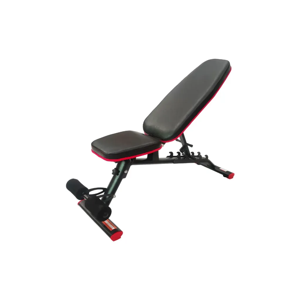 Adjustable Dumbbell Bench