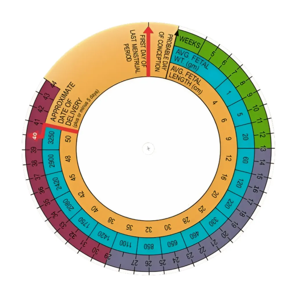 BMI Wheel (Body Mass Index Calculator)