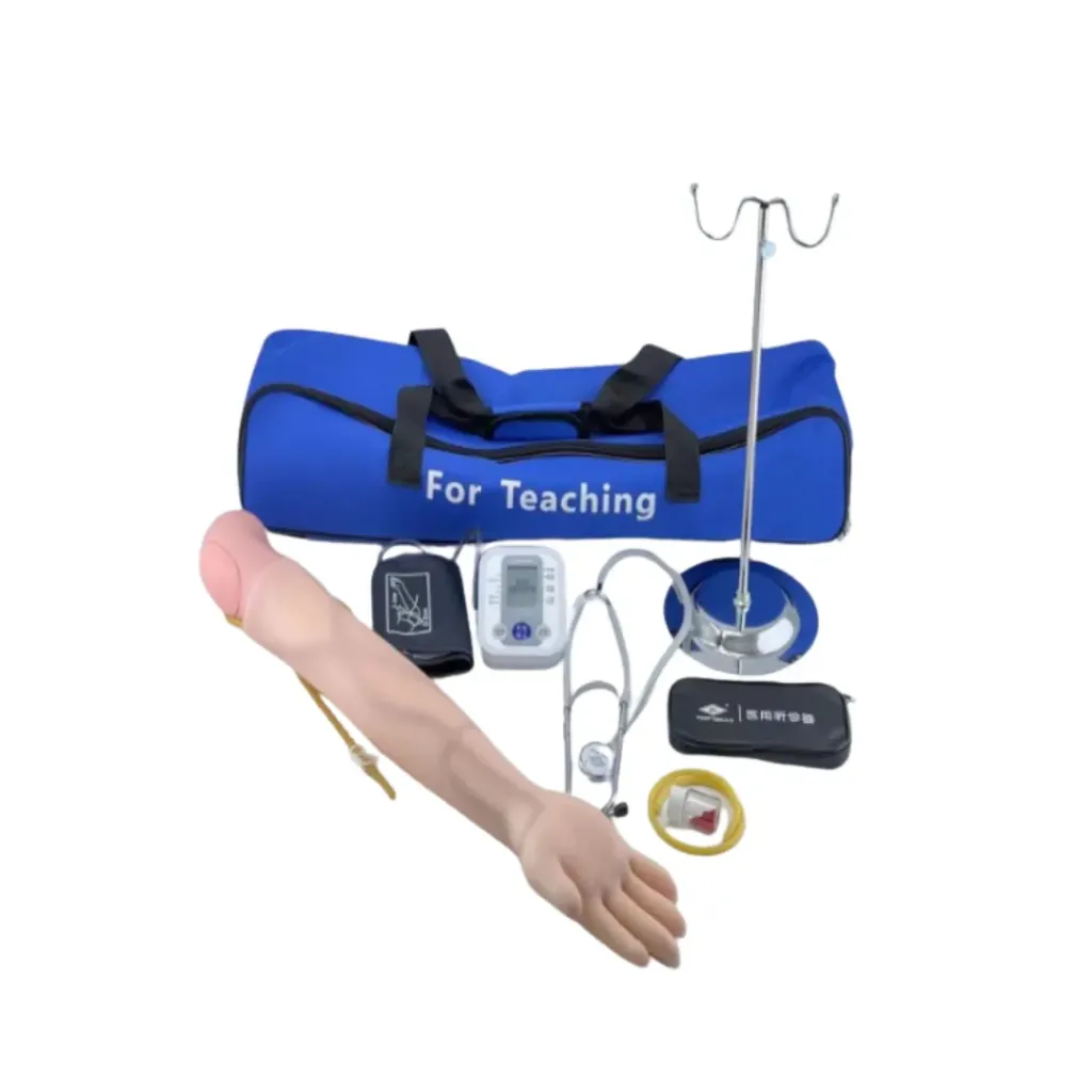 Venipuncture and Intravenous Model