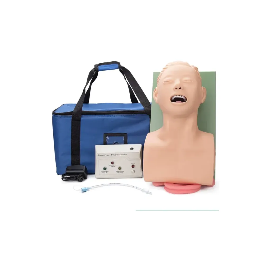 Airway Management Intubation Model
