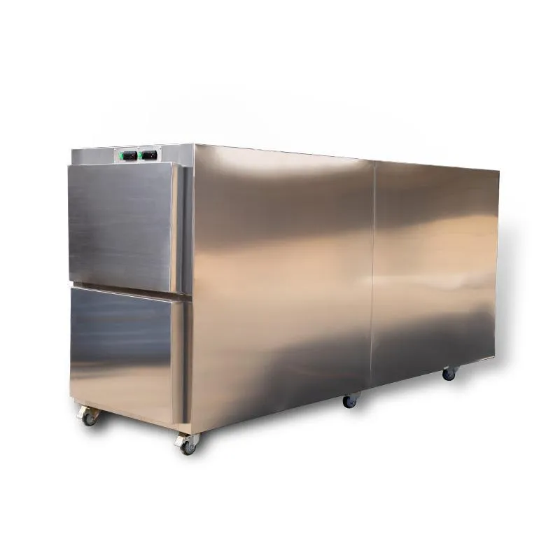 Mortuary Cabinets -For Safe Body Preservation and Cold Storage