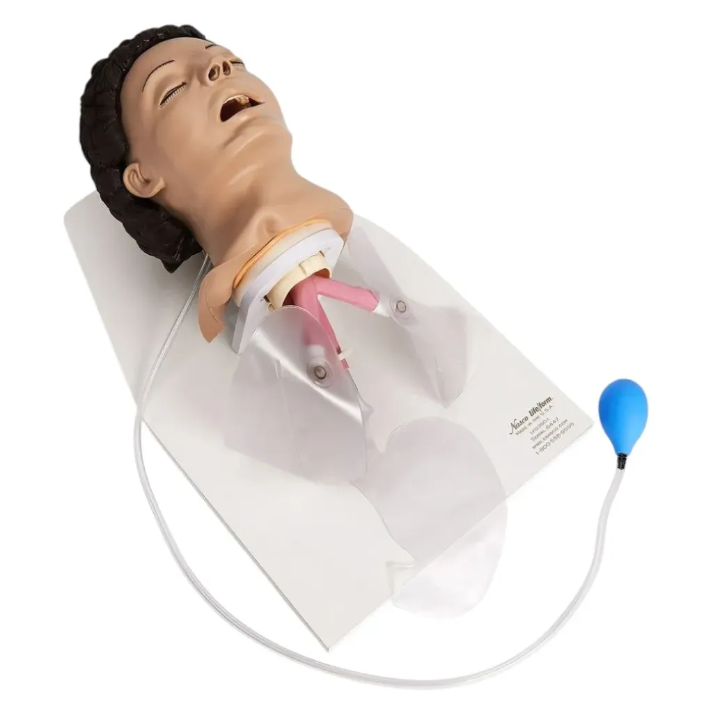 Adult Airway Trainer – Medical Manikin for Intubation, Ventilation & Airway Management Training