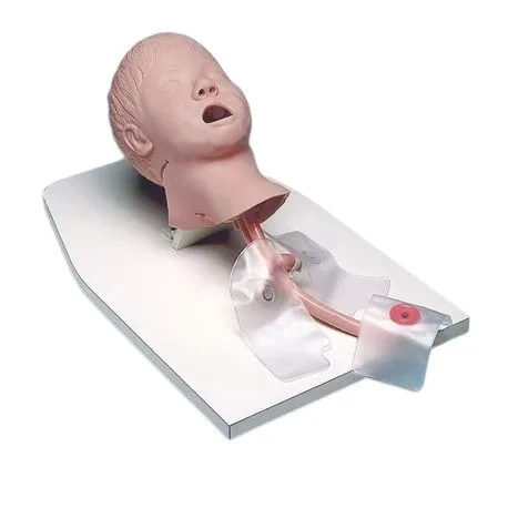 Paediatric Airway Trainer – Child Intubation, Ventilation & Airway Management Training Manikin